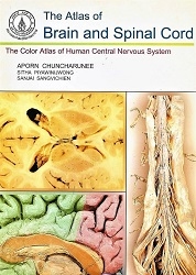 The Atlas of brain and spinal cord : the color atlas of human central nervous system