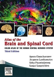 Atlas of the brain and spinal cord : color atlas of human central nervous system