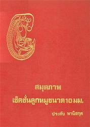 สมุดภาพเซ็คชั่นลูกหมูขนาด 10 มม.