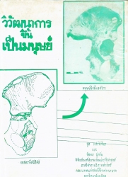 วิวัฒนาการขึ้นเป็นมนุษย์