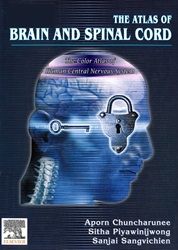 The atlas of brain and spinal cord : the color atlas of human central nervous system
